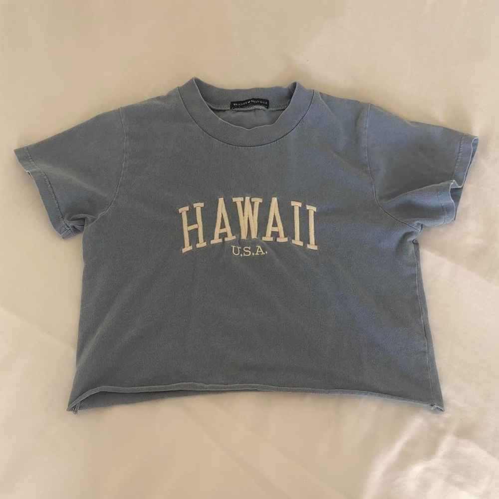 brandy melville hawaii cropped tee